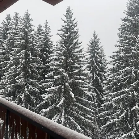Figue Chalet Morzine